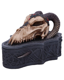 Drachenschädel Totenkopf Box 17,7cm