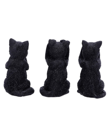Drei weise schwarze Katzen
