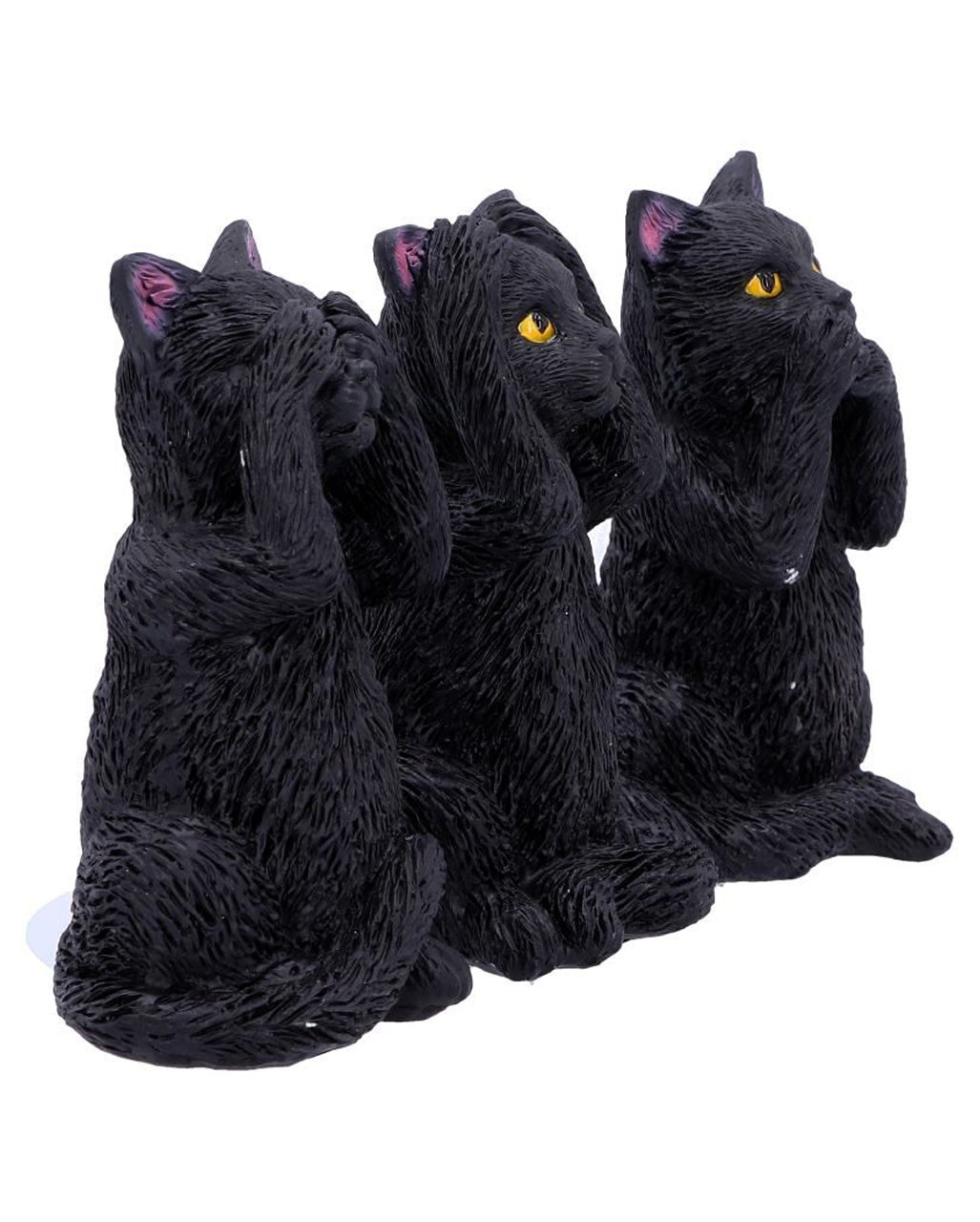Drei weise schwarze Katzen