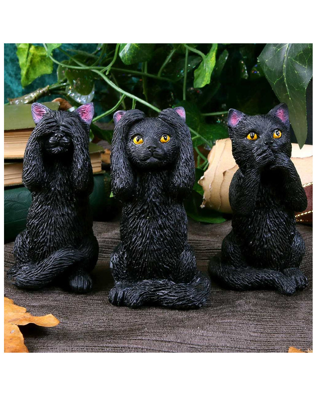 Drei weise schwarze Katzen