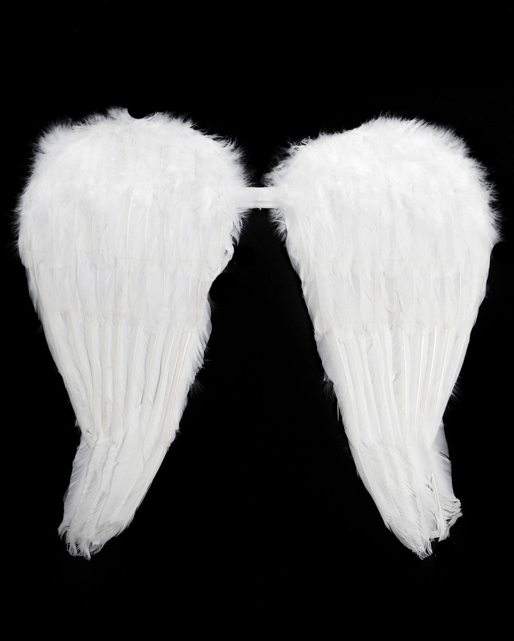 Angel Wings White