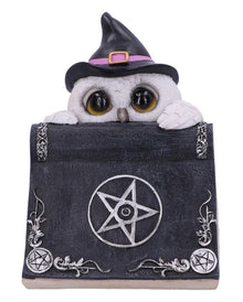 Weiße Eule mit Zauberbuch & Pentagramm 15cm