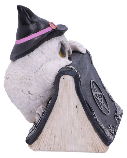 Weiße Eule mit Zauberbuch & Pentagramm 15cm