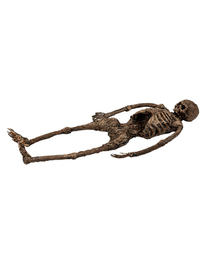 Scheletro Completo Di Un Corpo Di Palude 145 Cm