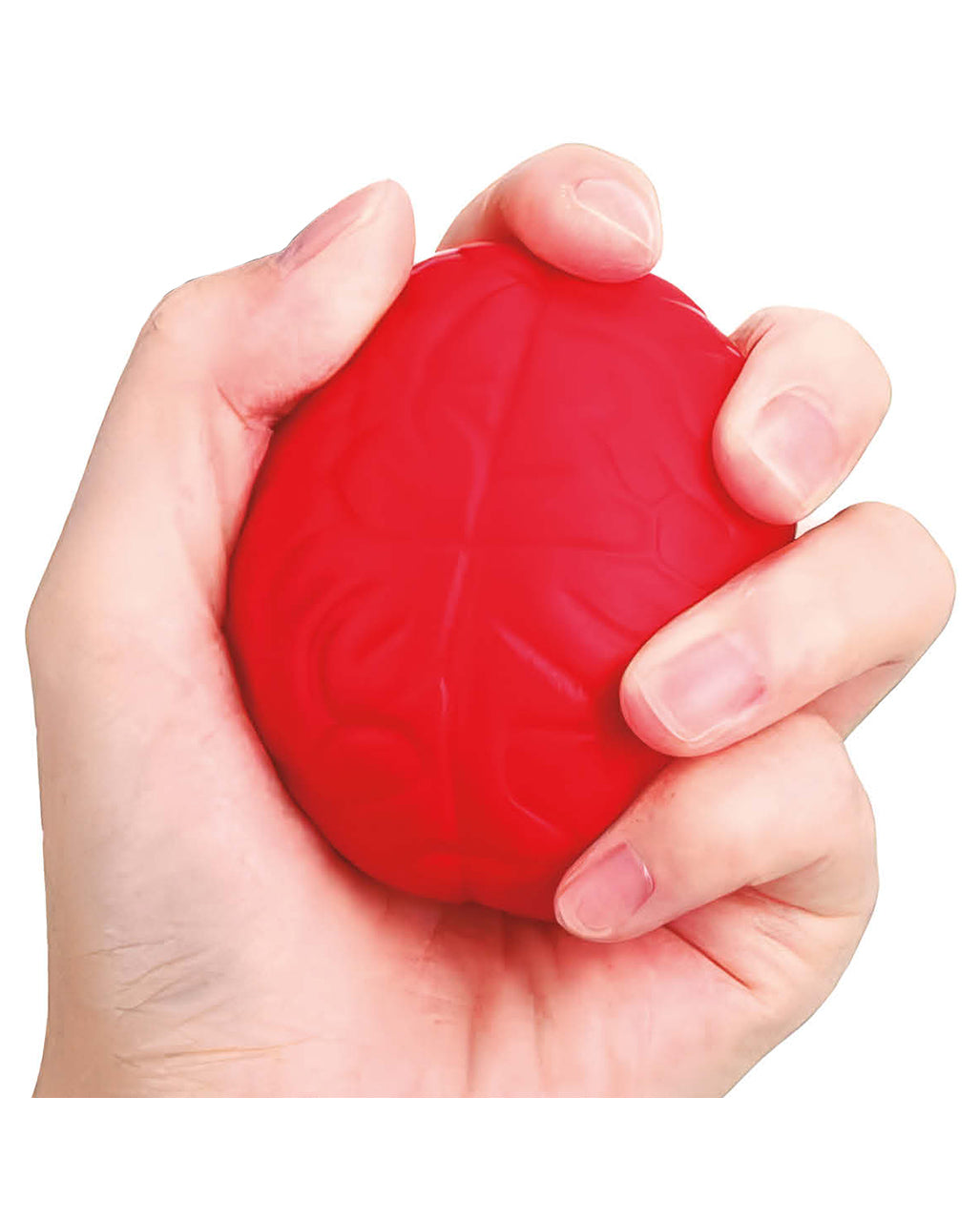Gehirn Stressball 8cm