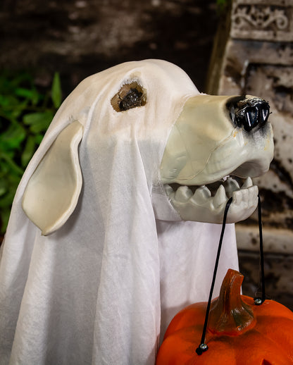 Ghost Dog With Pumpkin Lantern 55cm