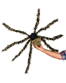 Gestreifte Tigerspinne mit leuchtenden Augen 122cm