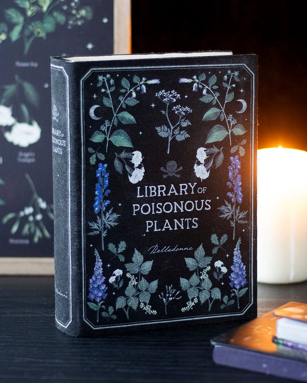 "Libro De Plantas Venenosas" Como Caja De Almacenaje 21cm