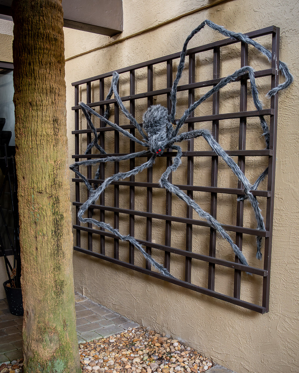 Gigantic Gray-black Mottled Spider 360cm