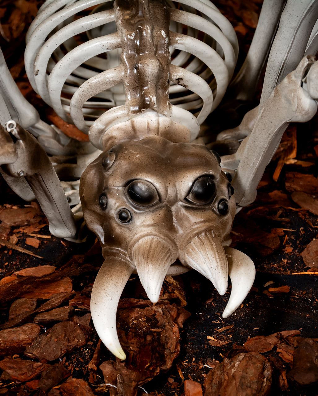 Gigantic Skeleton Spider As Halloween Decoration 82cm