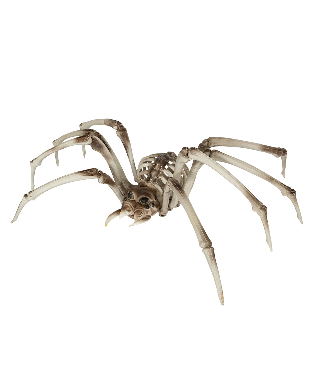 Gigantic Skeleton Spider As Halloween Decoration 82cm