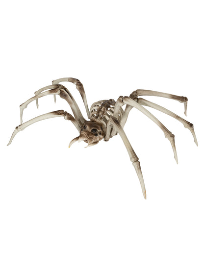 Gigantic Skeleton Spider As Halloween Decoration 82cm