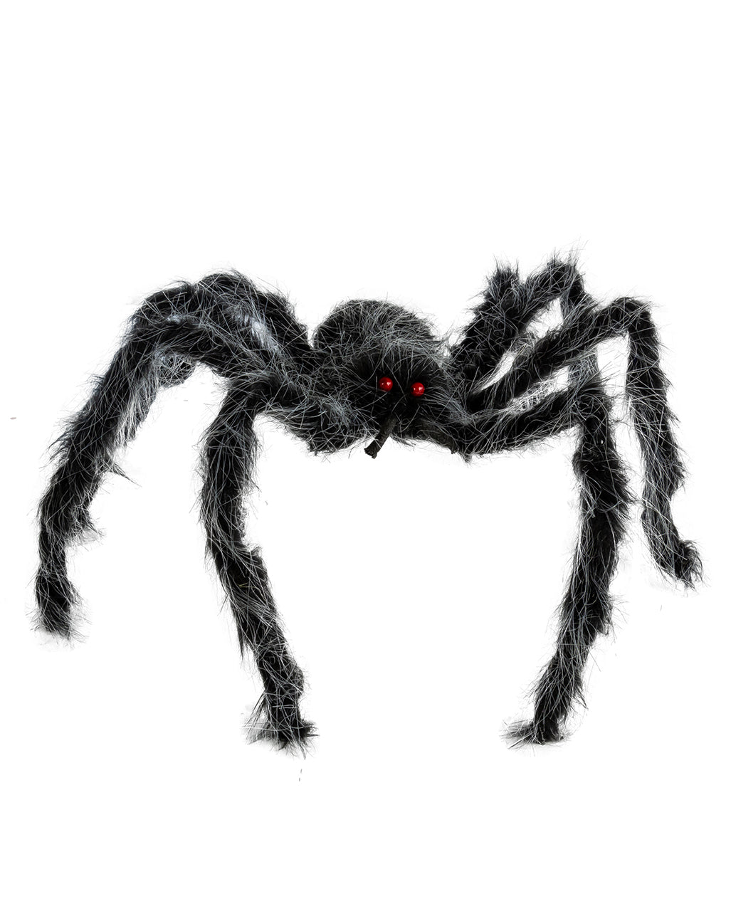 Grau-Schwarz Melierte Haarige Spinne