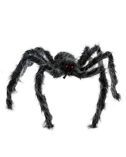 Grau-Schwarz Melierte Haarige Spinne