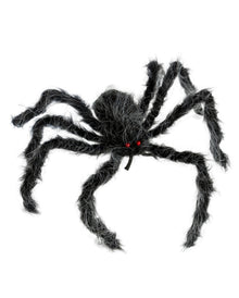 Grau-Schwarz Melierte Haarige Spinne