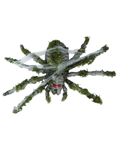 Araignée Grise En Pourriture Avec De La Mousse, 22 Cm