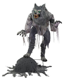 Grimmiger Werwolf Halloween Animatronic