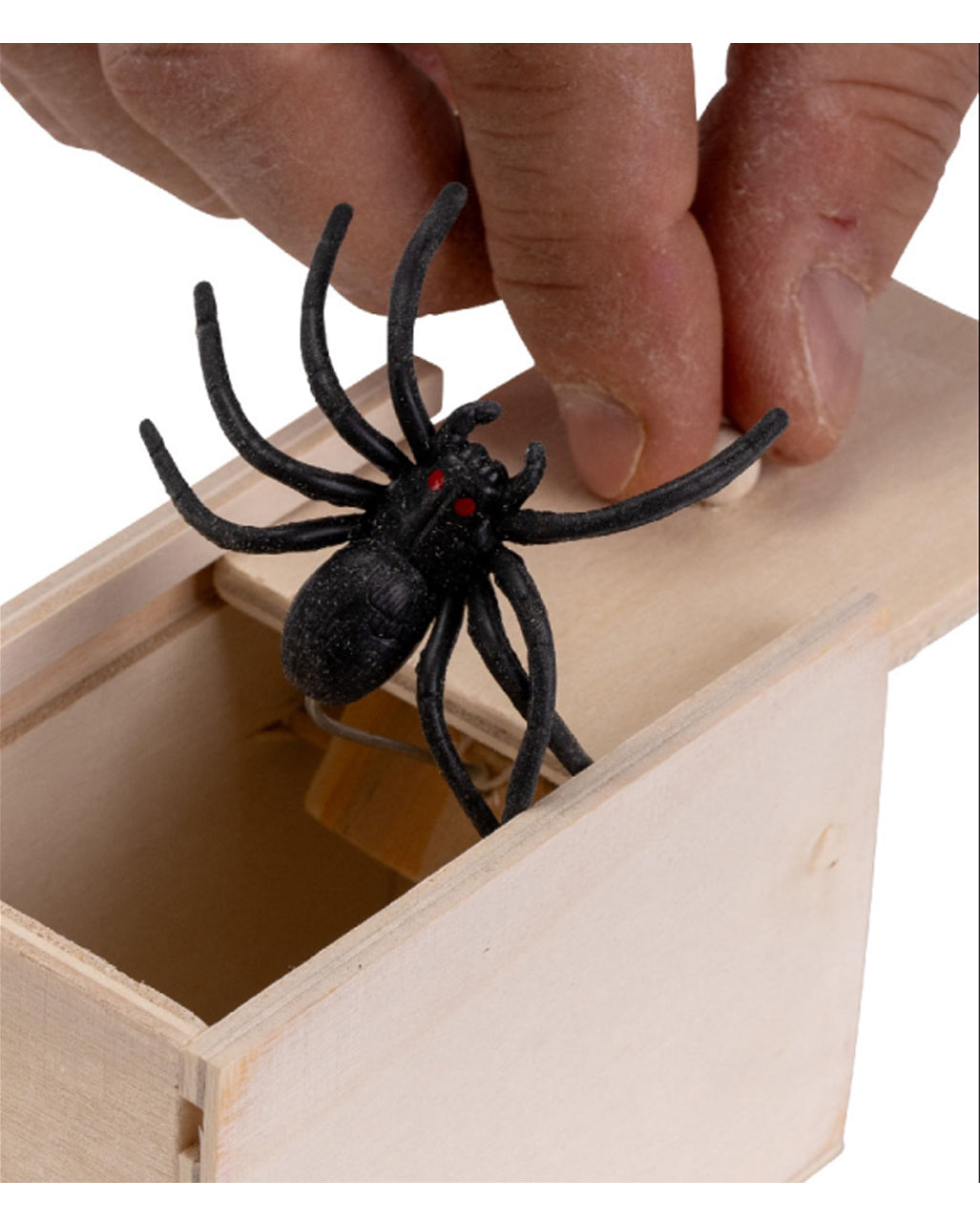 Gruselige Überraschungsbox mit Spinne