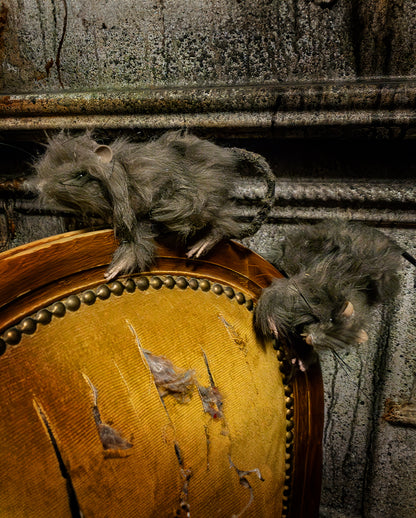Hairy Mini Rat 10 Cm