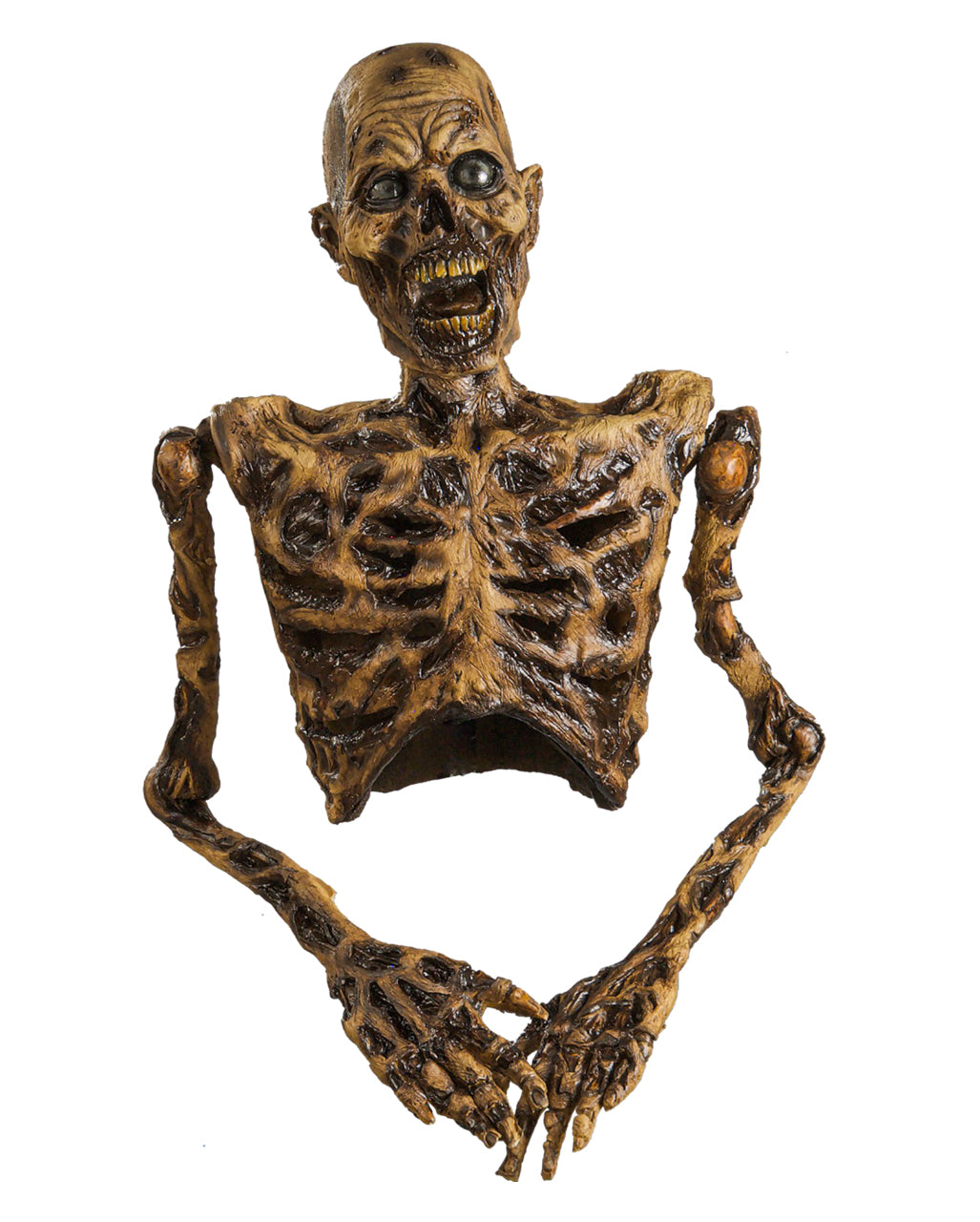 Halber Skelett Torso aus Latex 82cm