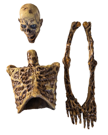 Halber Skelett Torso aus Latex 82cm