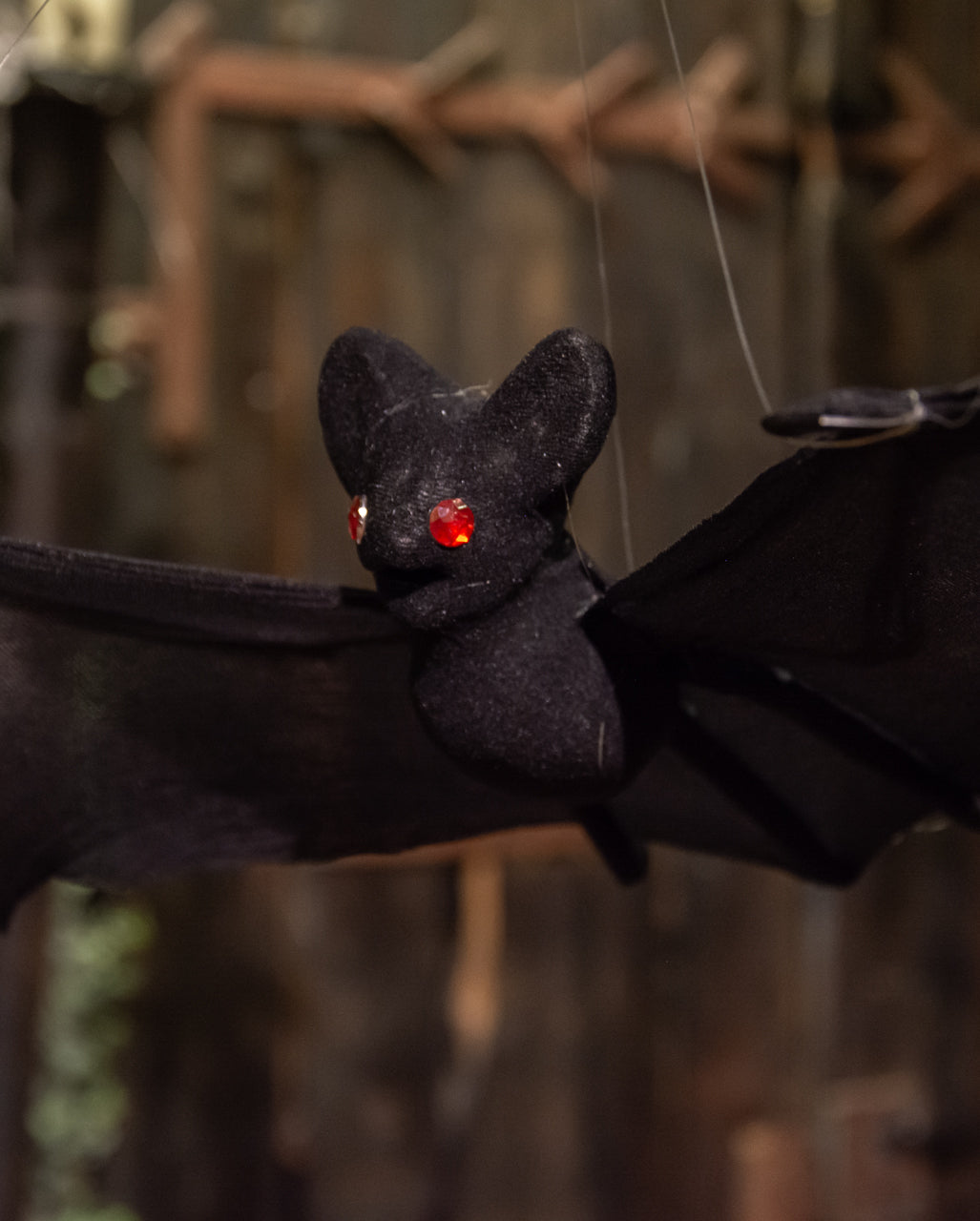 Halloween Fledermaus Nylon