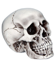 Beiger, realistischer Totenkopf