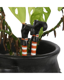 Hexenbeine als Pflanzentopf Stecker 10cm