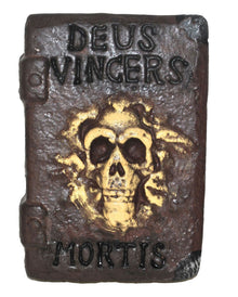 Book Of Witches With Skull