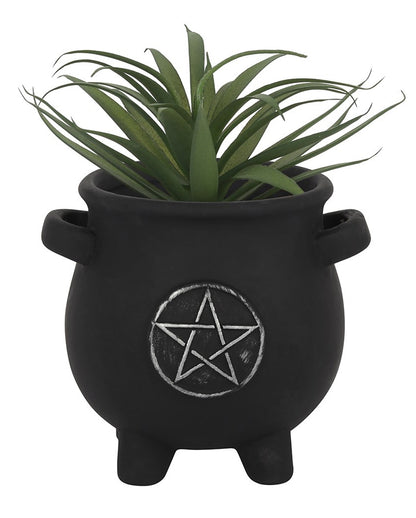 Witch Cauldron With Pentagram Plant Bowl
