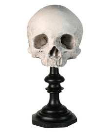 J. DOE Totenkopf auf Sockel 20cm