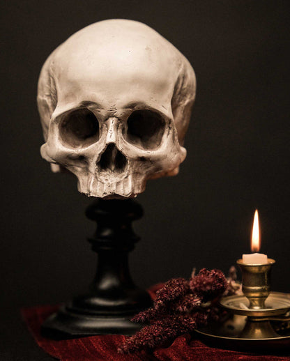 J. DOE Skull On Base 20cm