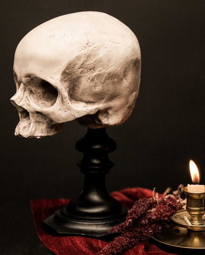 J. DOE Skull On Base 20cm