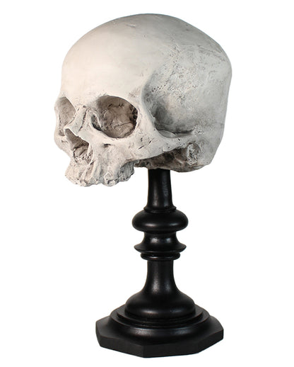 J. DOE Skull On Base 20cm