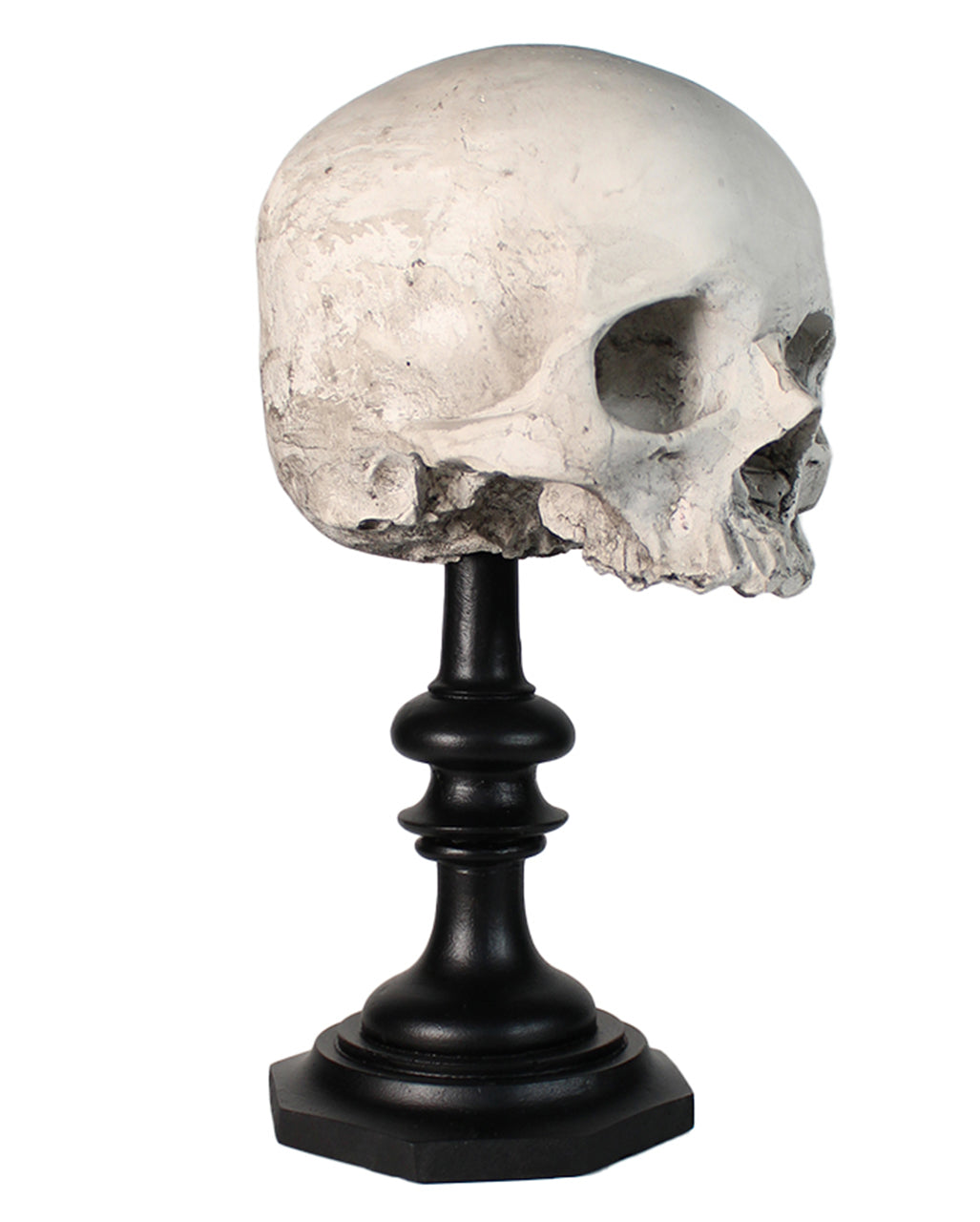 J. DOE Skull On Base 20cm