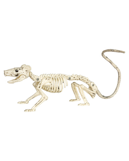 Skelett Ratte 20cm