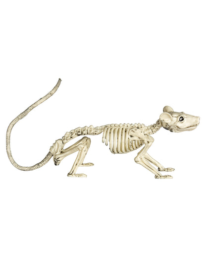 Skelett Ratte 20cm