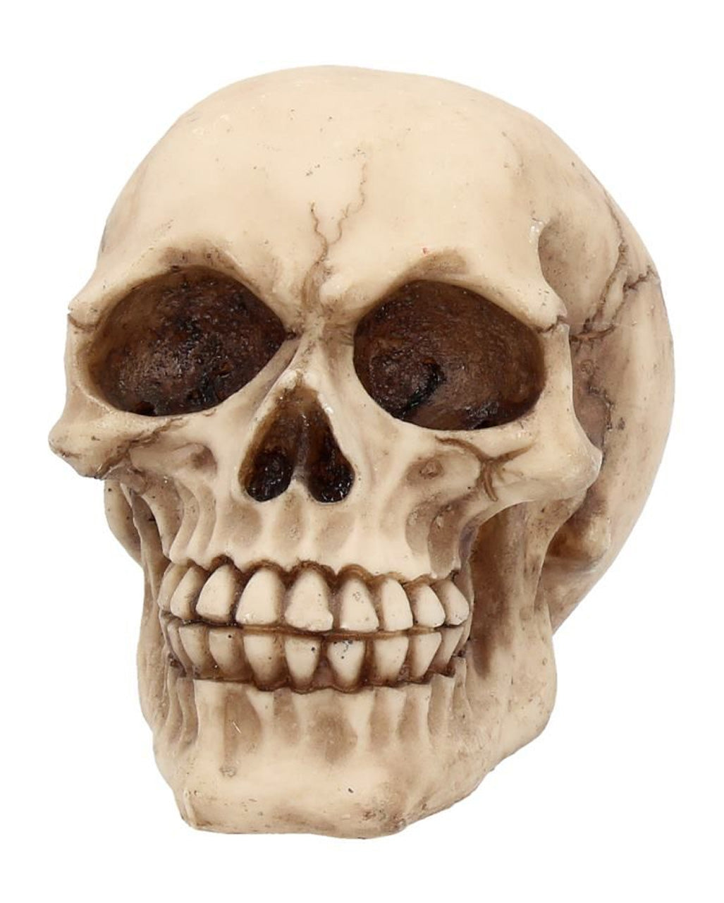 Kleiner Grinsender Totenkopf 12cm