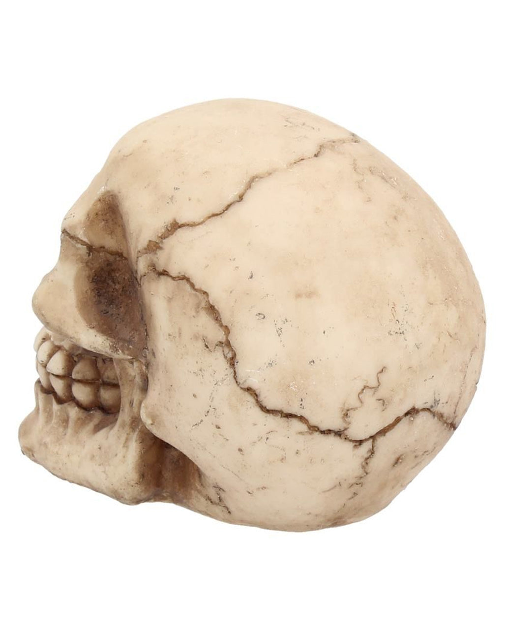 Kleiner Grinsender Totenkopf 12cm