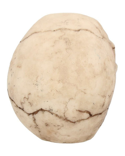 Kleiner Grinsender Totenkopf 12cm
