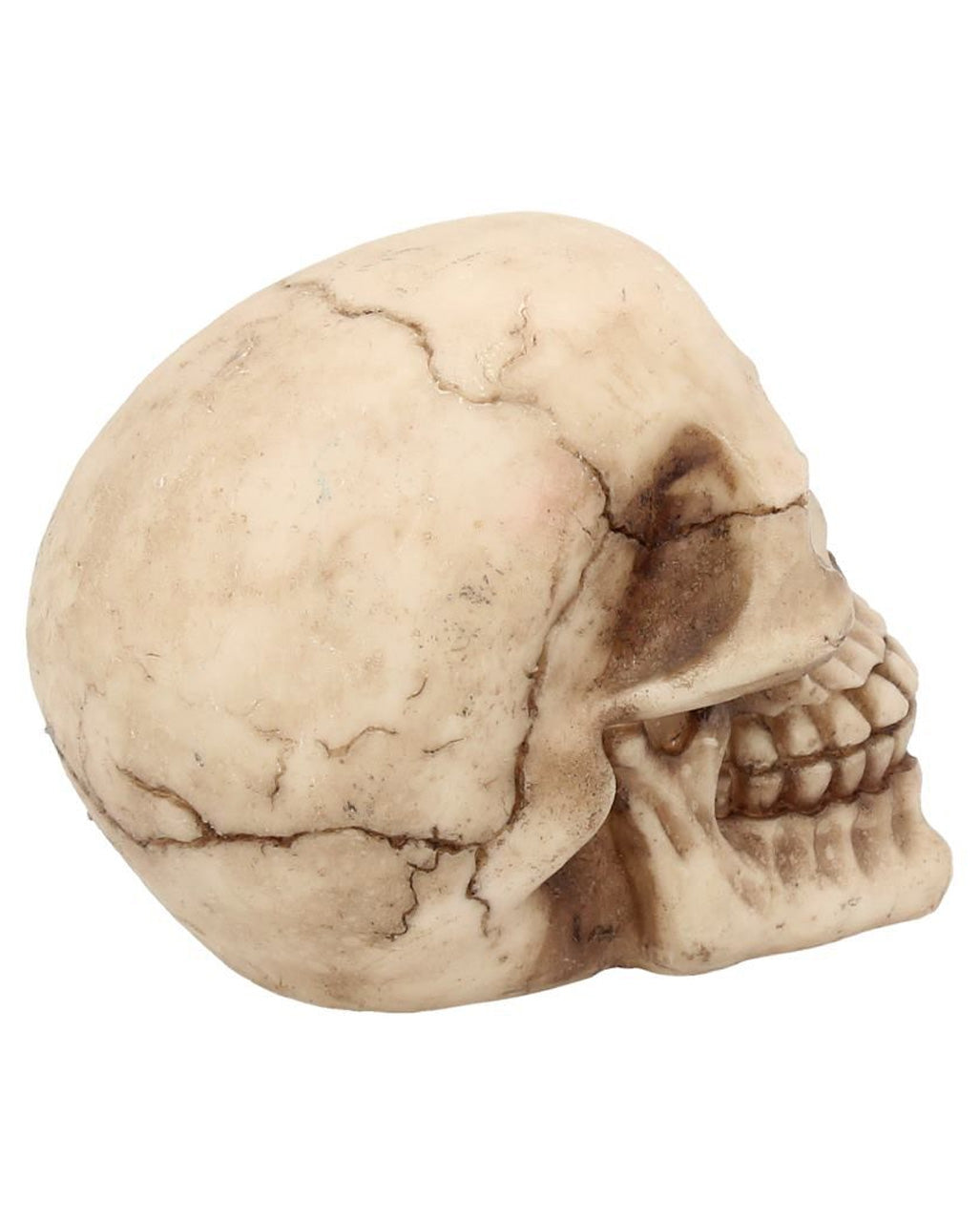Kleiner Grinsender Totenkopf 12cm