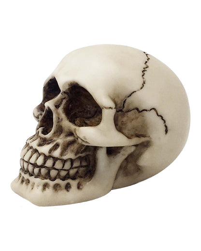 Small Skull 9,5cm