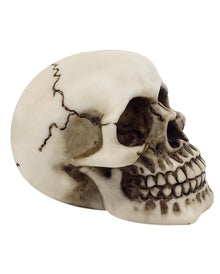 Kleiner Totenkopf 9,5cm