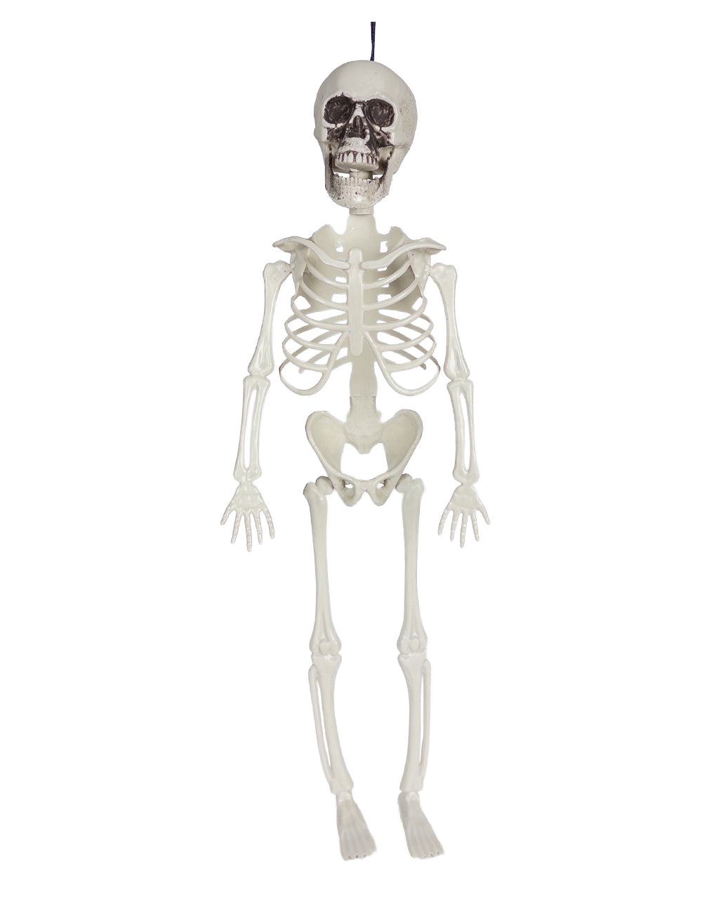 Kleines Economy Deko Skelett 40cm