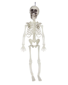 Kleines Economy Deko Skelett 40cm