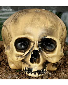 Kunststoff Totenkopf ohne Kiefer 20cm