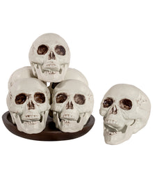 Totenkopf mit beweglichem Kiefer 12,5cm  6 St.
