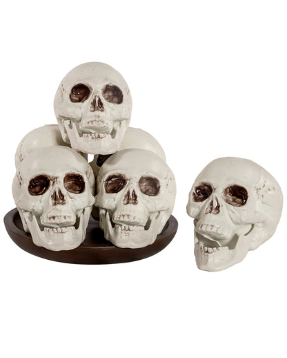 Totenkopf mit beweglichem Kiefer 12,5cm  6 St.