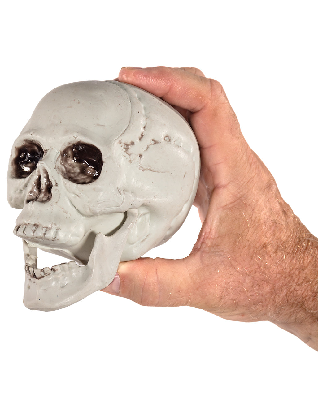 Totenkopf mit beweglichem Kiefer 12,5cm  6 St.