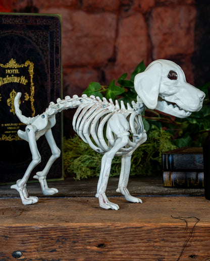 Labrador Hundeskelett als Halloween Deko 28cm